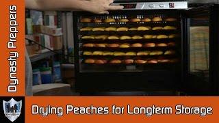 Drying Peaches for Longterm Food Storage   Dynasty Preppers