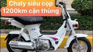 Siêu Phẩm  Honda Chaly 50 1993 zih 1OO% 1200km cận thùng bao phê