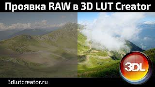 Проявка RAW в 3D LUT Creator