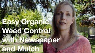 Easy Organic Weed Control With Newspaper & Mulch - AnOregonCottage.com