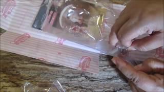 AZONE PICCO NEEMO UNBOXING: Fanny Fanny Himeno