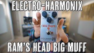 EHX Ram's Head Big Muff Reissue - Demo