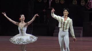 Renata Shakirova and Kimin Kim in ballet Don Quixote // Рената Шакирова Кимин Ким в балете Дон Кихот