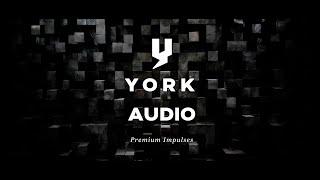 York Audio - Justin York - Gift of Tone - Fractal Audio
