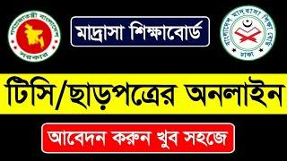 মাদ্রাসা শিক্ষা বোর্ডের টিসি / ট্রান্সফার / madrasha transfer 2023