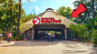 San Diego Zoo Safari Park California Full Tour 2024