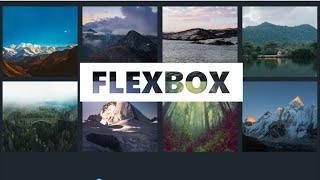 Responsive Image Gallery Using Flexbox | HTML&CSS |