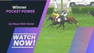 1st Race Winner Pocket Power-Lahore Summer Meeting 2024 #horseracing #racing #lrc #horserace #sports