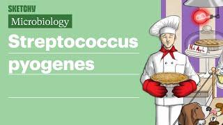 Streptococcus pyogenes: Infection Fundamentals | USMLE Step 1 | Sketchy Medical