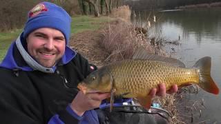 Karpfenangeln mit der Feederrute im Frühjahr