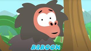 BABOON  Nursery Songs For Kids  Meow Meow Kitty Song