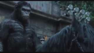 Планета обезьян: Революция - смотрите онлайн официальный трейлер HD качестве