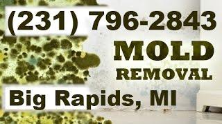 Mold Removal Big Rapids MI (231) 796-2843 | Mold Remediation Big Rapids Michigan