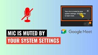 Your Mic is Muted by Your System Settings | Google Meet | 2024