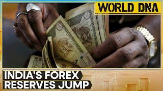 India's foreign currency inflow rises despite RBI intervention | World DNA | WION