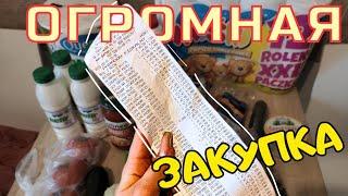 Закупка продуктов на МЕСЯЦ в Польше | Что мы едим в Польше |