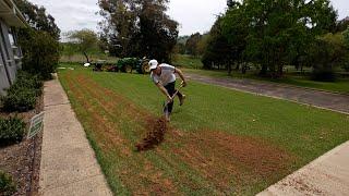 Topdressing and Levelling My Lawn With Sand (Lawn Renovation Series)