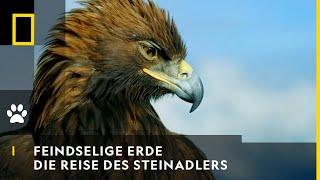 FEINDSELIGE ERDE - Die Reise des Steinadlers | National Geographic
