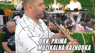 ORK. PRIMA, ASANCHO & SASHO BIKOV - MUZIKALNA RAZHODKA, LIVE 2024