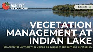 Vegetation Management at Indian Lake