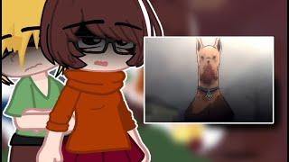 [en/pt] Scooby Doo (Mistery S/A) React: Velma meets the Original Velma | @AvocadoAnimations | #091