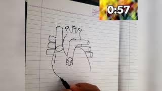 Human heart Diagram Easy Class 10