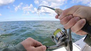 Inshore Saltwater Fishing Outer Banks, NC