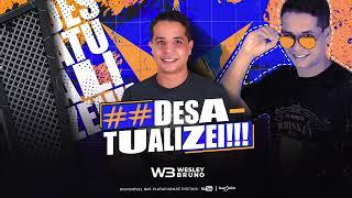 WESLEY BRUNO DESATUALIZEI - CD PROMOCIONAL - JUNHO 2024