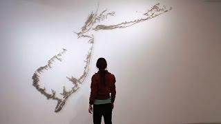 Maya Lin: New York | Art21 "Extended Play"