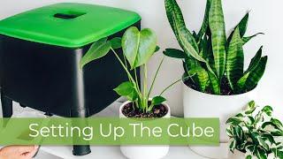 Tumbleweed Cube Setup