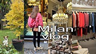 TRIP TO PORTOFINO, EVERYDAY LIFE IN MILAN, BEST STORES, EXHIBITIONS, HOW COFFEE IS BREWED IN ITALY