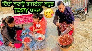 ਦੇਸੀ ਤਰੀਕੇ ਨਾਲ ਬਣਾਉ ਗਜਰੇਲਾ ਬਹੁਤ Testy ਬਣਦਾ || Family Vlog