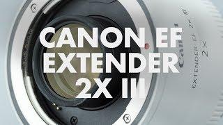 Lens Data - Canon EF Extender 2X III Review