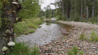 Allt Lorgy River Restoration