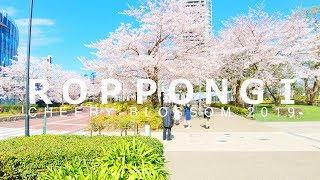 Cherry Blossom Viewing In Tokyo | Midtown Tokyo - 4K 50fps