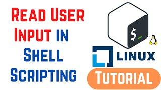 How do I read user input into a variable in Bash | Shell Scripting Tutorial for Beginners