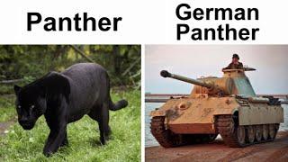 TANK MEMES