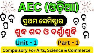 +3 1st Semester AEC ODIA // Compulsory Subject // ଶବ୍ଦର ସଂଜ୍ଞା ଶୁଦ୍ଧଶବ୍ଦ ଓ ବର୍ଣ୍ଣାଶୁଦ୍ଧି // Part - 1