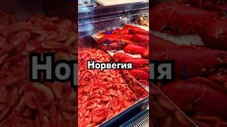 НОРВЕГИЯ| РЫБНОЕ МЕСТО