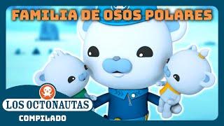 Los Octonautas - ‍️ Misiones árticas con una familia de osos polares  | Compilado