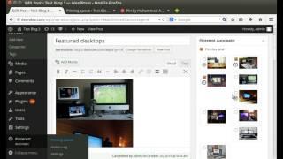 Wordpress Pinterest Automatic version 4.0