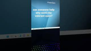 Why won’t valorant open?