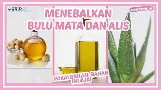 TIPS MENEBALKAN BULU MATA DAN ALIS SECARA ALAMI! || BAHAN YANG MUDAH DIDAPAT!!