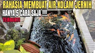 5 Cara Membuat Air Kolam Koi Tetap Jernih | TERBUKTI !!!!