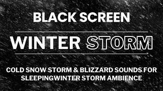 Cold Snow Storm & Blizzard Sounds for Sleeping - Winter Storm Ambience - Howling Wind & Blowing Snow