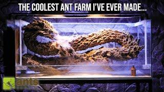 The Coolest Ant Farm I've Ever Made | "LEVIATHAN" Ant Tank