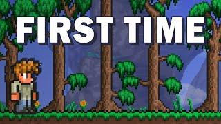 I finally tried Terraria