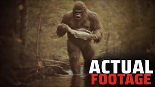 Mireya Mayor: "This Bigfoot Footage Has To Be DELETED Forever!"