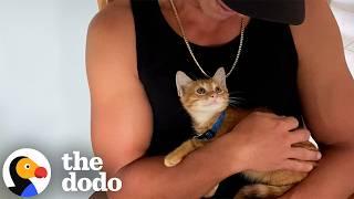 Cats Who Are Obsessed With Men | The Dodo