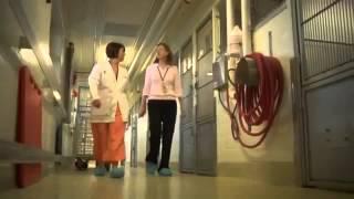 Meet a Pharmacist:  LifeWorks Careers